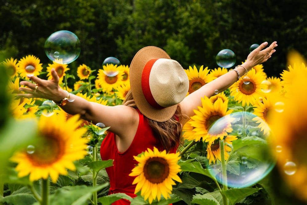 Sunflowers and Bubbles